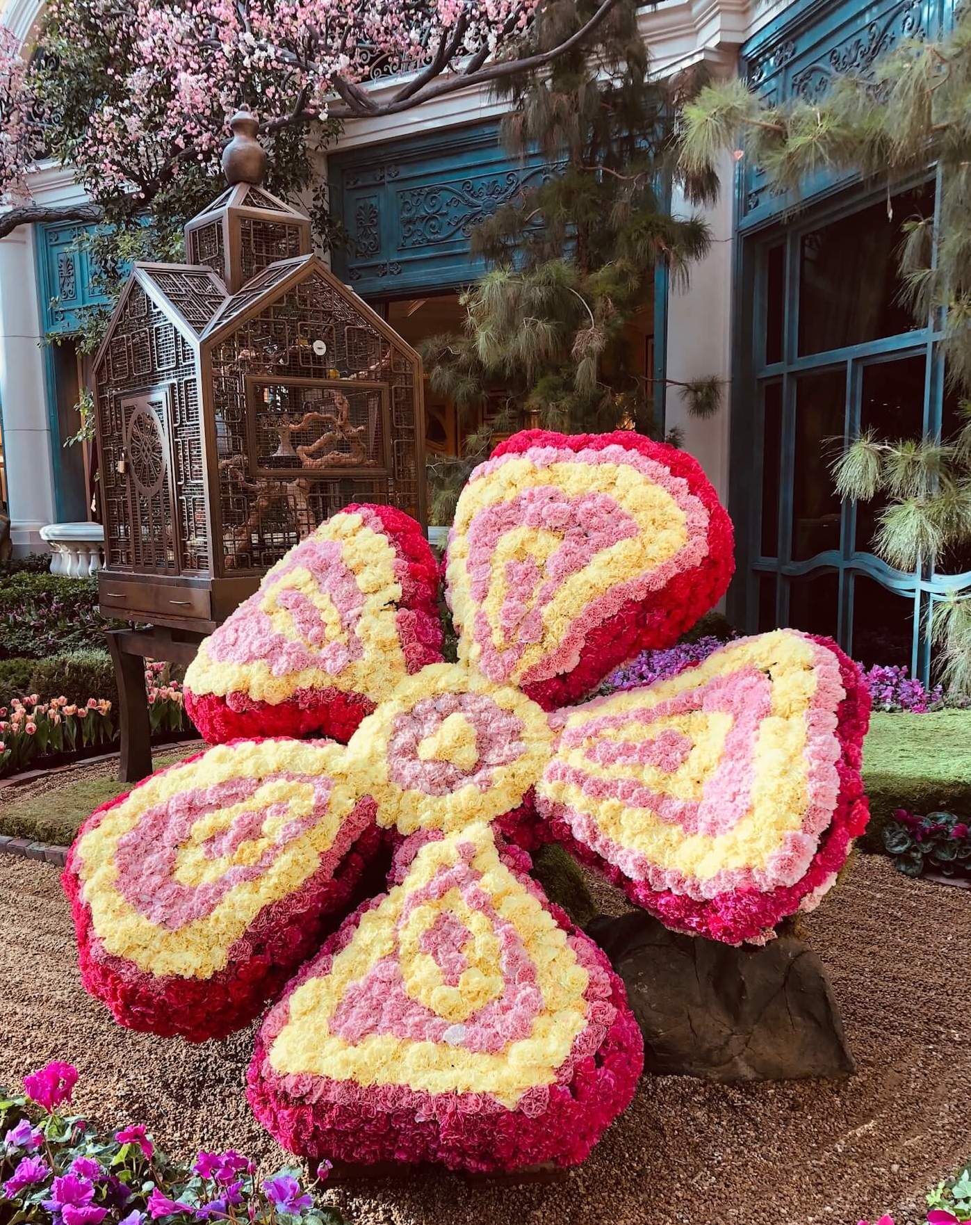 Flower in the Bellagio Coservatory