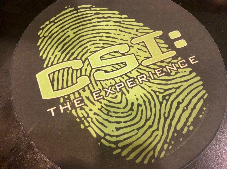 CSI Experience at the MGM
